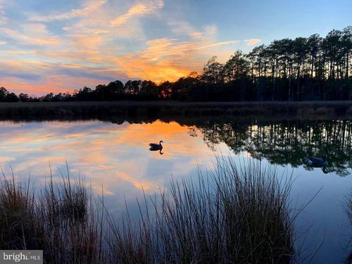 Parcel 0120 Bishops Head Road, Toddville, MD, 21672 | Card Image