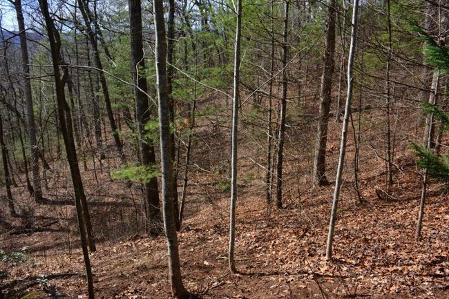 00 Chestnut Rdg, Home with 0 bedrooms, 0 bathrooms and null parking in Robbinsville NC | Image 5
