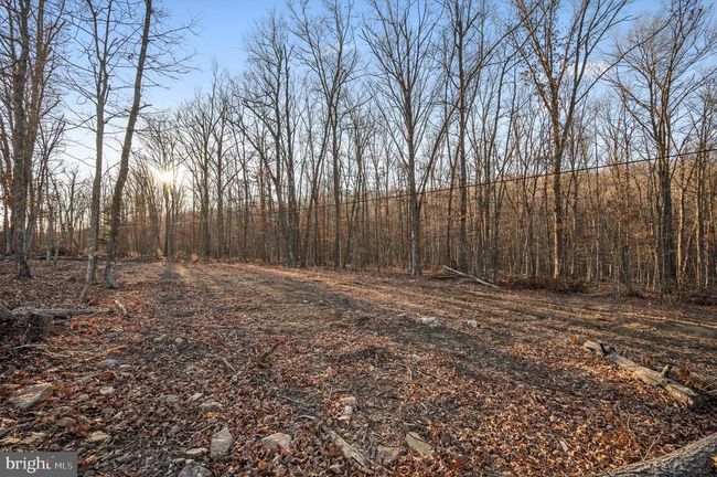 LOT 4 Back Creek Rd, Home with 0 bedrooms, 0 bathrooms and null parking in GORE VA | Image 16