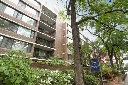 apt-301-1555 Sandburg Ter, Chicago, IL, 60610-6321 | Card Image