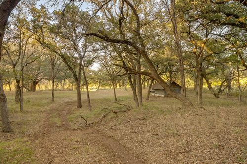51 Cattle Trail Trail, Palo Pinto, TX, 76484 | Card Image