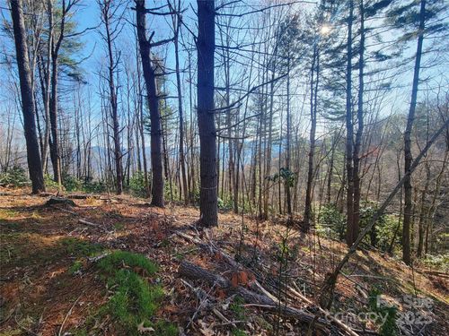 138-111 Digging Seng Trail, Waynesville, NC, 28785 | Card Image