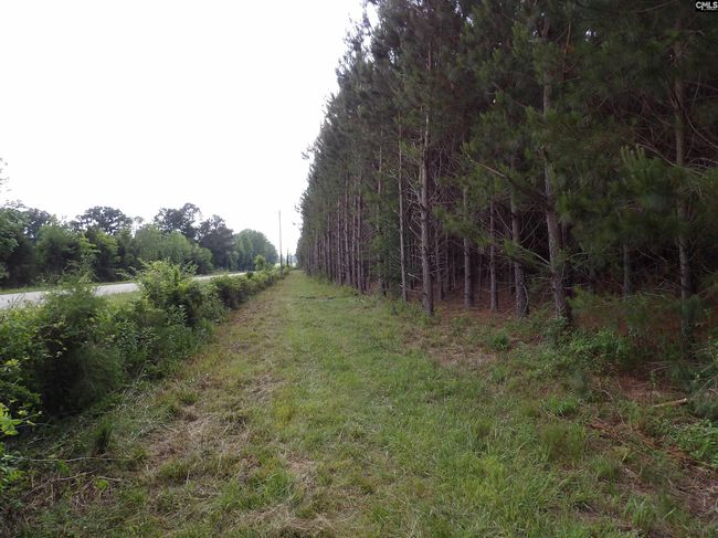 0 Mccormick Hwy, Home with 0 bedrooms, 0 bathrooms and null parking in Saluda SC | Image 6