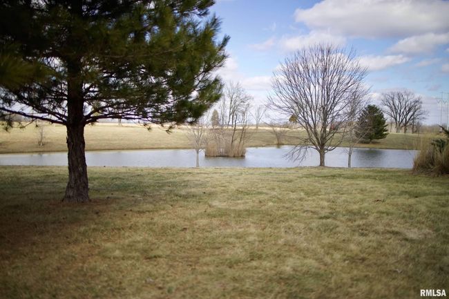 1338 Wagon Creek Rd, House attached with 3 bedrooms, 3 bathrooms and null parking in Creal Springs IL | Image 36
