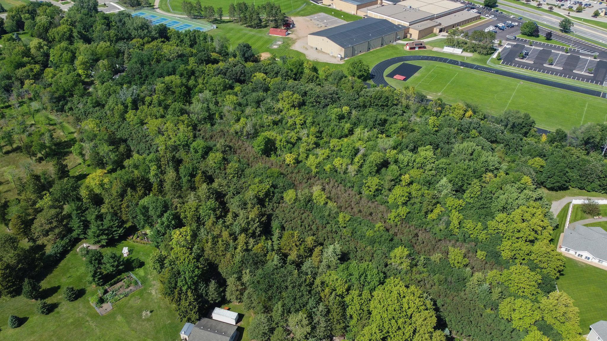 Land in Monticello 3
