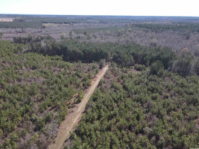 00 Highway 278 Highway, Home with 0 bedrooms, 0 bathrooms and null parking in Rosston AR | Image 36