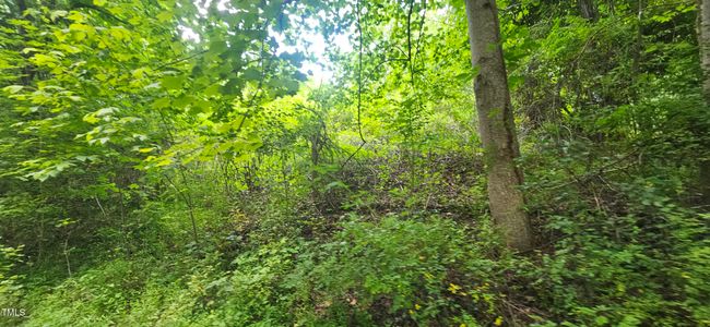 20240613_151150 | Image 17