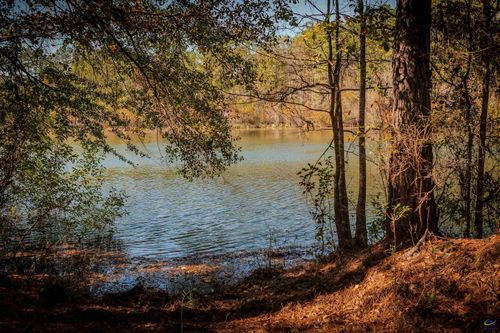 1446 Avera Rd, Roberta, GA, 31078-6613 | Card Image