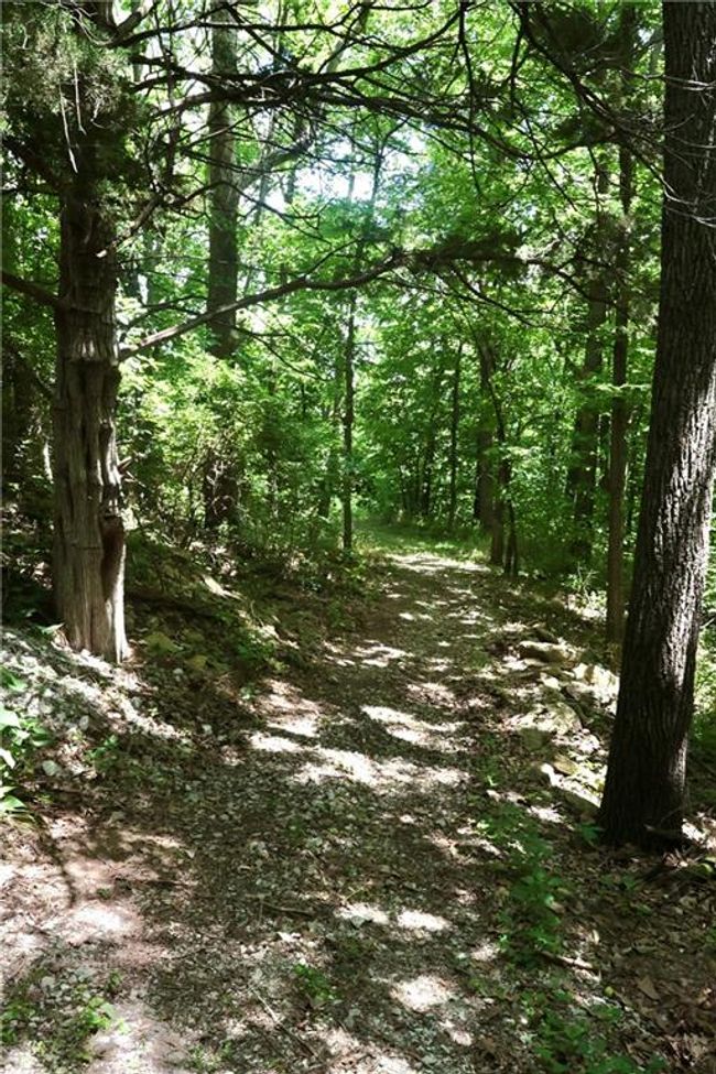 View of wooded area | Image 51