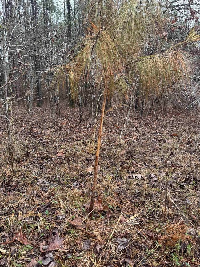 000 Ashley Road 912, Home with 0 bedrooms, 0 bathrooms and null parking in Hamburg AR | Image 37