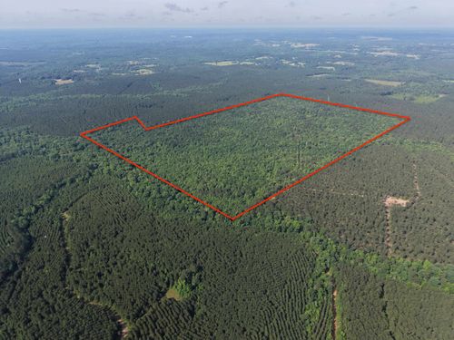 999 Flarity Rd, Jefferson, TX, 75657 | Card Image