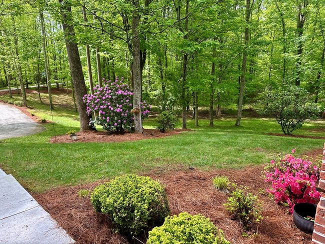 23677 Archery Range Rd, House other with 3 bedrooms, 3 bathrooms and 4 parking in Bristol VA | Image 15