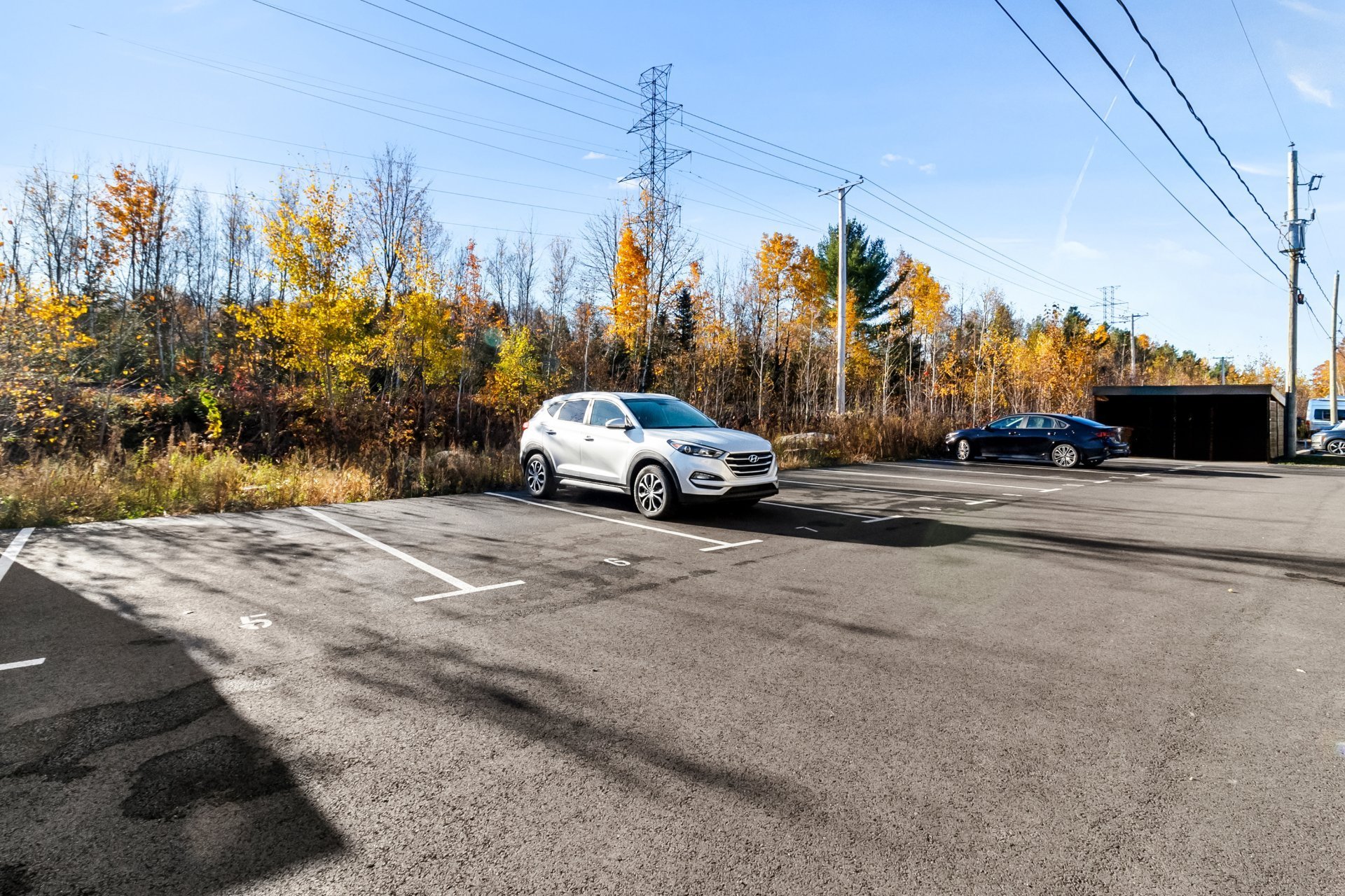 Residential Lease in Mirabel 3