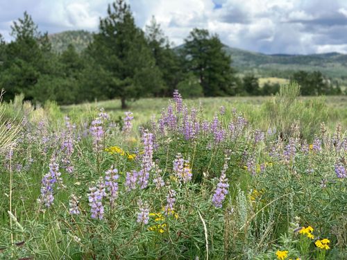 TBD Schulze Ranch Rd, Westcliffe, CO, 81252 | Card Image