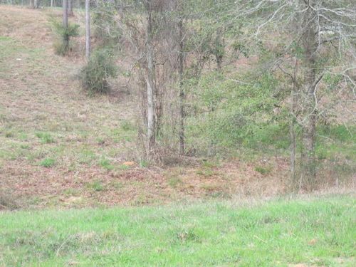11 Josie Dr, Ellisville, MS, 39437-4800 | Card Image