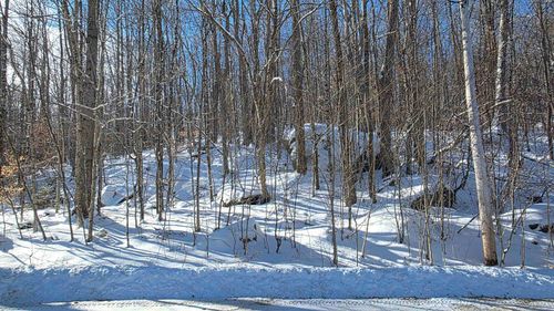 M111 L24&25 Tigola Trail, Stoddard, NH, 03464 | Card Image