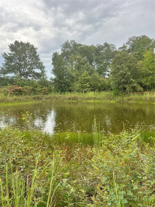 Lot 5 County Road 2310, Telephone, TX, 75488 | Card Image