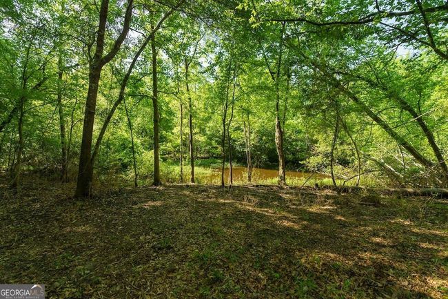6053 Sun Hill Grange Rd, Home with 0 bedrooms, 0 bathrooms and null parking in Davisboro GA | Image 38