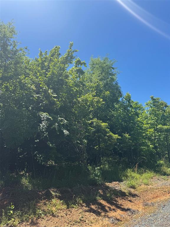 Land in Watson 4