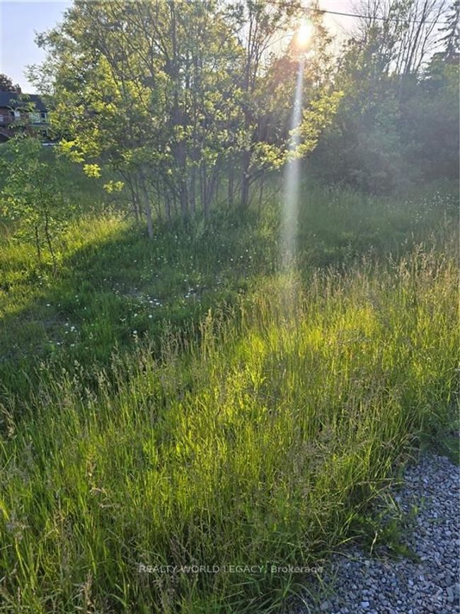 1533 Highway 54, Home with 0 bedrooms, 0 bathrooms and null parking in Haldimand ON | Image 6