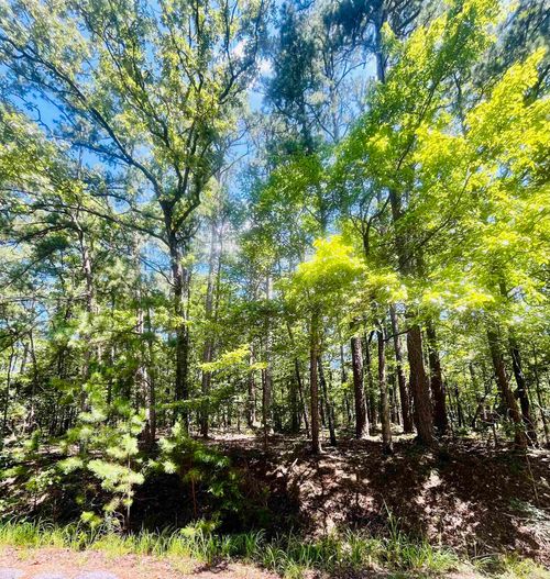 16 Pamplona Ln, Hot Springs Village, AR, 71909 | Card Image
