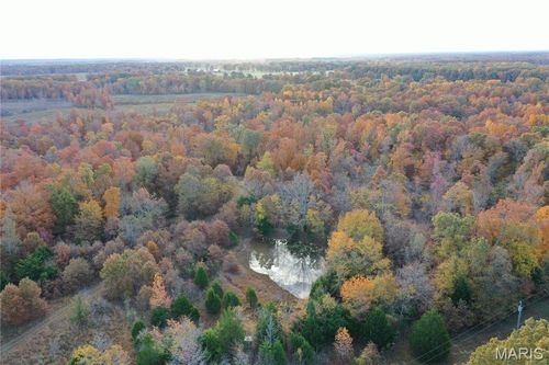 TBD Tract 2 Bobwhite Lane, Fairdealing, MO, 63939 | Card Image