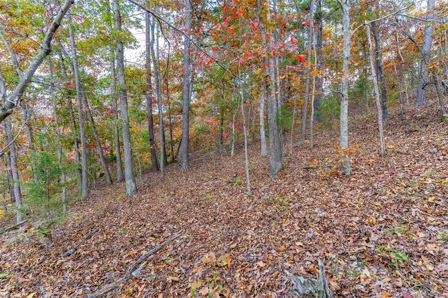 5 - 0 Highway Jj, Home with 0 bedrooms, 0 bathrooms and null parking in Marquand MO | Image 25