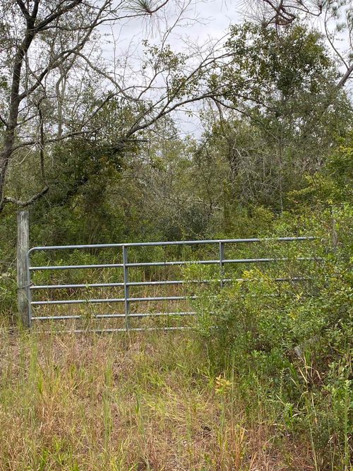 81 Sw Kramer Rd, MADISON, FL, 32340 | Card Image