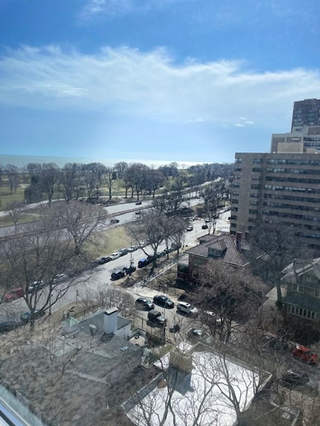 APT-1106 - 4250 N Marine Dr, Condo with 1 bedrooms, 1 bathrooms and 1 parking in Chicago IL | Image 22