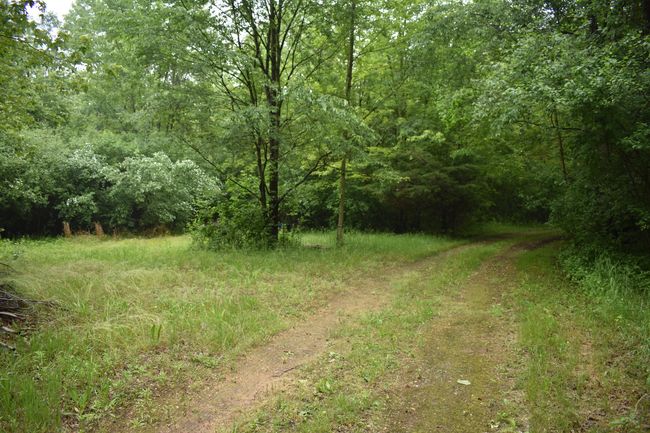 13151 Tuttlehill Rd, Home with 0 bedrooms, 0 bathrooms and null parking in Milan MI | Image 7