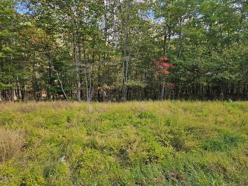 00 Holly Ln, Spencer, TN, 38585 | Card Image