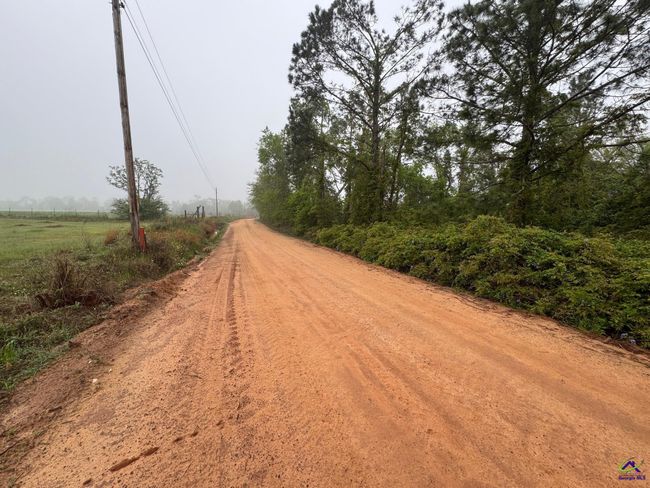 0 Smyrna Road, Home with 0 bedrooms, 0 bathrooms and null parking in Uvalda GA | Image 4