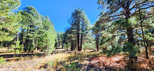260-1958 Ferret Cir, Forest Lakes, AZ, 85931-0035 | Card Image