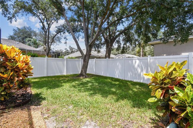 10203 Shadow Branch Dr, House other with 4 bedrooms, 3 bathrooms and null parking in TAMPA FL | Image 50