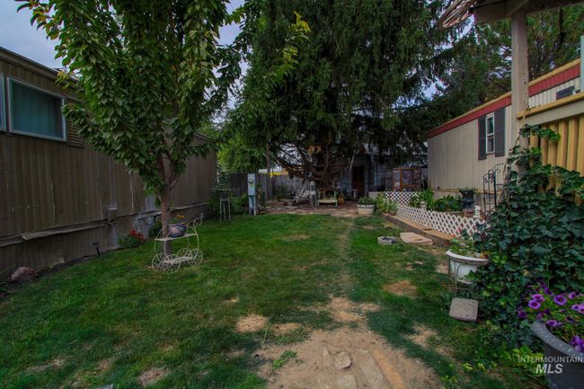 View of fenced backyard | Image 22