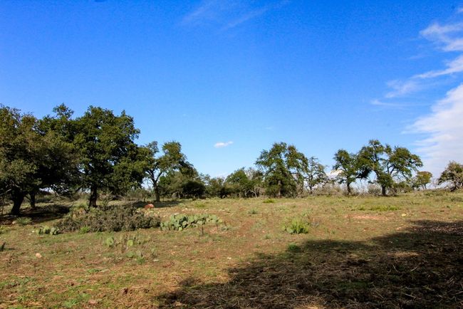963 Josephine, Home with 0 bedrooms, 0 bathrooms and null parking in Harper TX | Image 8