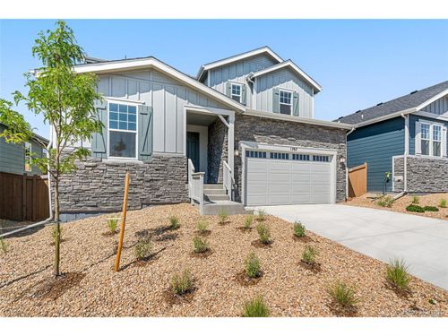 1787 Water Birch Way, Castle Rock, CO, 80108 | Card Image