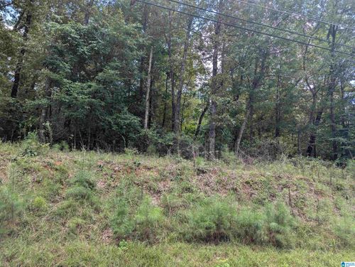 1-0 Jones Rd, ANNISTON, AL, 36207 | Card Image