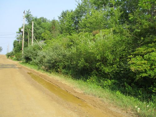 lots-21-24-V/L Miami Avenue, Casco Township, MI, 49090 | Card Image