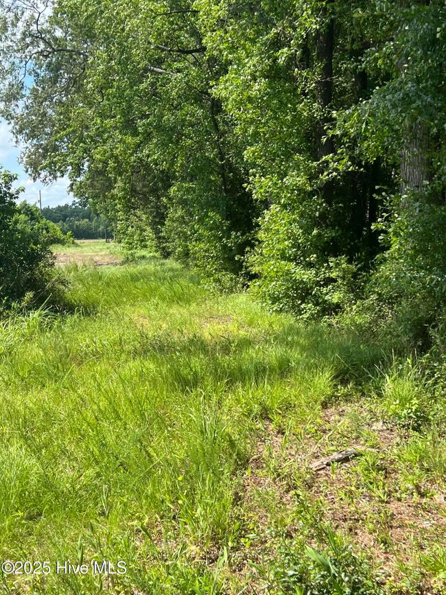 3 - 6639 Stokestown St John Rd, Home with 0 bedrooms, 0 bathrooms and null parking in Ayden NC | Image 5