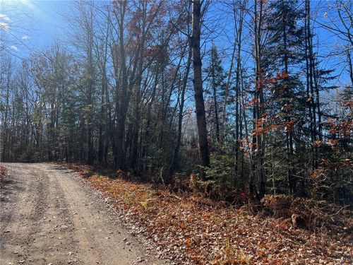 TBD Willy Rd, Weyerhaeuser, WI, 54895 | Card Image
