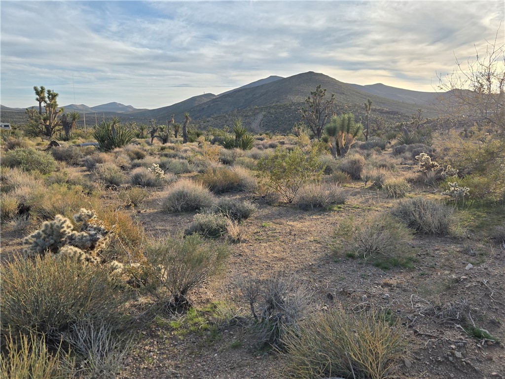 Land in White Hills 2