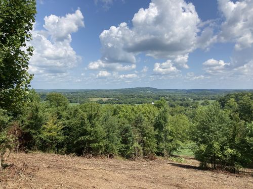 12 Joy Rd, Mount Pleasant, TN, 38474 | Card Image