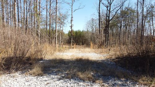 0 Rolling Hills Dr, Spencer, TN, 38585 | Card Image