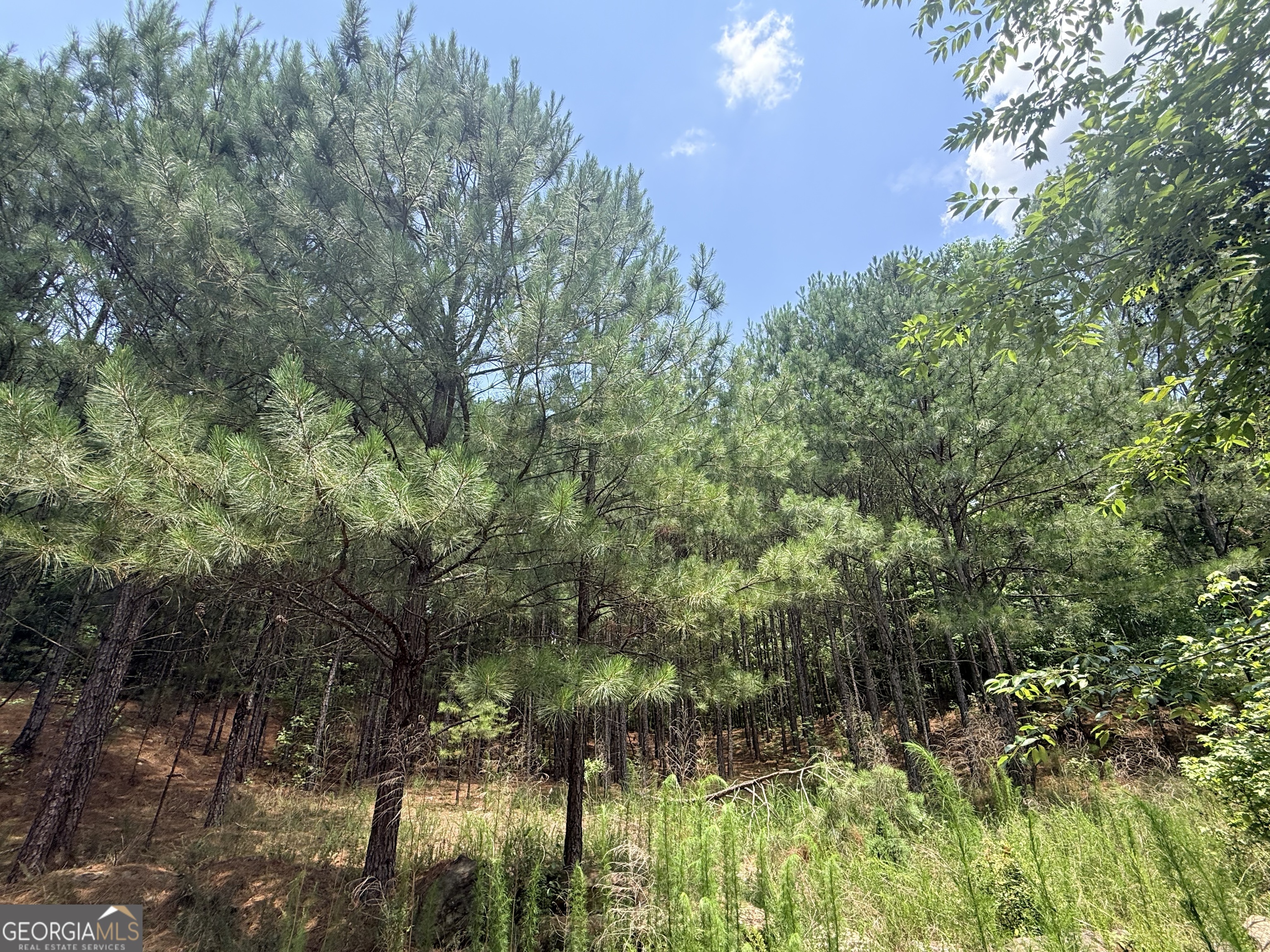 Land in Snellville 2