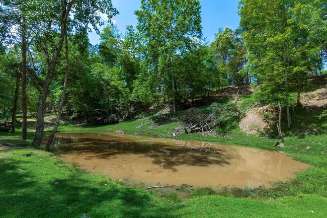 58501 Us Highway 50, Home with 0 bedrooms, 0 bathrooms and null parking in Mc Arthur OH | Image 49