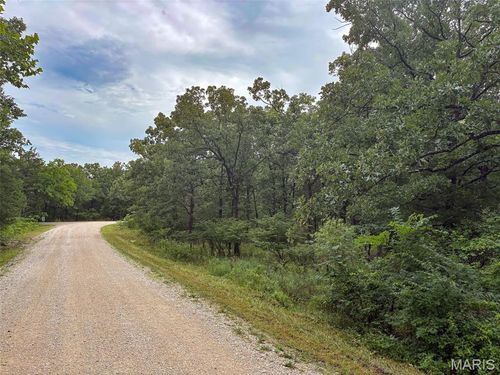 0 W Mont Carmel St, Bonne Terre, MO, 63628 | Card Image