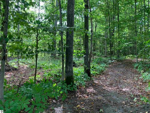 00 Keiser Rd, Levering, MI, 49755 | Card Image