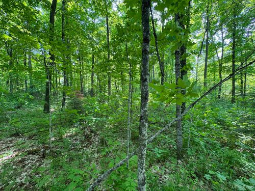 160 Acres Mead Logging Road, Crystal Falls, MI, 49920 | Card Image