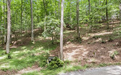 2AC Andes Ridge Lot 288, Home with 0 bedrooms, 0 bathrooms and null parking in Ellijay GA | Image 2